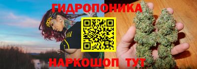 ECSTASY Северобайкальск